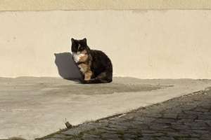 Property thumbnail 32