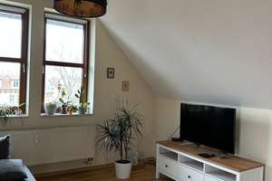 Hinreißende 2 Zimmer-DG-Wohnung in der Goethestraße zu vermieten – Goethestraße 16, 39108 Stadtfeld Ost, Magdeburg – Vorschaubild 5
