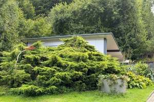 Wunderschönes Zweifamilienhaus mit wunderschöner Aussicht. – Zur Malsch 4, 57087 Siegen – Vorschaubild 46