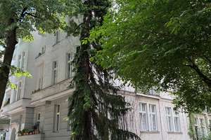 Bezugsfertig & Provisionsfrei: Sanierter Altbau-Traum mit Balkon, 2 Bädern, EBK und Kamin in Toplage – Die vollständige Adresse der Immobilie erhältst du vom Anbieter., 12163 Steglitz, Berlin – Vorschaubild 22