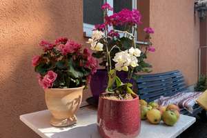 Property thumbnail 20