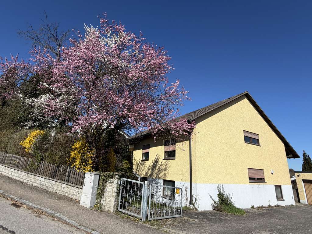 Immobilie in Lappersdorf - Raum für Ideen: freistehendes Haus mit Einliegerwohnung & großem Grundstück - Bild 0