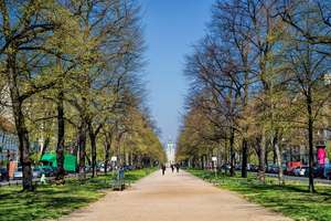 Property thumbnail 9