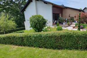 ***Freistehend, mit Einliegerwohnung, Garage, ruhige Sackgassenlage*** – Holmbacherstr. 0, 32839 Höxter (Kreis) – Vorschaubild 1