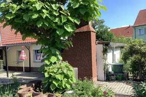 Wohnen in Senftenberg – Oberspreewald-Lausitz (Kreis) – Vorschaubild 3