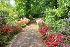ORTS***2-Zimmerwohnung in DU-Duissern (Kaiserbergviertel) Nähe "botanischer Garten" – Duisburg – Vorschaubild 2