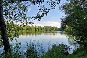 Property thumbnail 30