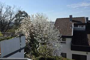 TOPLAGE - RUHE - AUSSICHT - UNVERBAUBAR - SÜDWESTLAGE - MEHR ALS NUR EIN HAUS. – Göppingen (Kreis) – Vorschaubild 17
