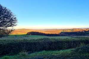 Grundstück mit attraktiven Bauoptionen und Eifel-Fernblick – Düren (Kreis) – Vorschaubild 9