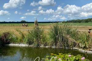 Liebevoll sanierter Resthof mit Photovoltaikanlage in Alleinlage und unmittelbarer Nähe zu WHV – Wilhelmshaven – Vorschaubild 32