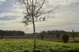 PROVISIONSFREI |GARANTIERTER  RUHEFAKTOR -  Renoviertes  Einfamilienhaus in Gumtow! – Prignitz (Kreis) – Vorschaubild 9
