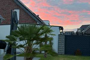 Wohnen in bester Lage – freistehendes Einfamilienhaus in Viersen-Dülken – Die vollständige Adresse der Immobilie erhältst du vom Anbieter., 41751 Viersen – Vorschaubild 32