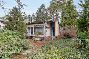 Bungalow auf großem Grundstück in Konradshöhe – Berlin – Vorschaubild 1