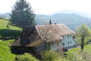 Wohnen mit toller Alpensicht – Lörrach (Kreis) – Vorschaubild 3