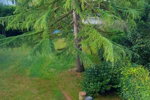 Heim für Großfamilie mit Gartenhaus in Wiedenbrück – Die vollständige Adresse der Immobilie erhältst du vom Anbieter., 33378 Rheda-Wiedenbrück – Vorschaubild 10