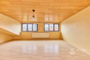 Besondere Immobilie mit außergewöhnlicher Größe, Substanz und Perspektive – vielfältig nutzbares MFH – Hauptstraße 190, 68789 Sankt Leon-Rot – Vorschaubild 57