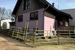 Reitanlage mit Stall und schönen Landhaus in St. Ingbert-Hassel zu verkaufen. – Die vollständige Adresse der Immobilie erhältst du vom Anbieter., 66386 Sankt Ingbert – Vorschaubild 3