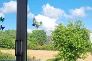 9 Zimmer im EG u OG.- 2xKüche, 2xBad, teilmöbliert, mit Wintergarten und Garten ** in Alleinlage  ** – Herford (Kreis) – Vorschaubild 5