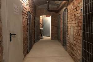 Charmante 1-Zimmer-Altbauwohnung mit Balkon in Gohlis-Mitte – Die vollständige Adresse der Immobilie erhältst du vom Anbieter., 4157 Gohlis-Mitte, Leipzig – Vorschaubild 19