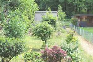 Sonniger Garten,Dachgeschoss mit Ausbaupotenzial, 220 m zum Kalksee – Märkisch-Oderland (Kreis) – Vorschaubild 2