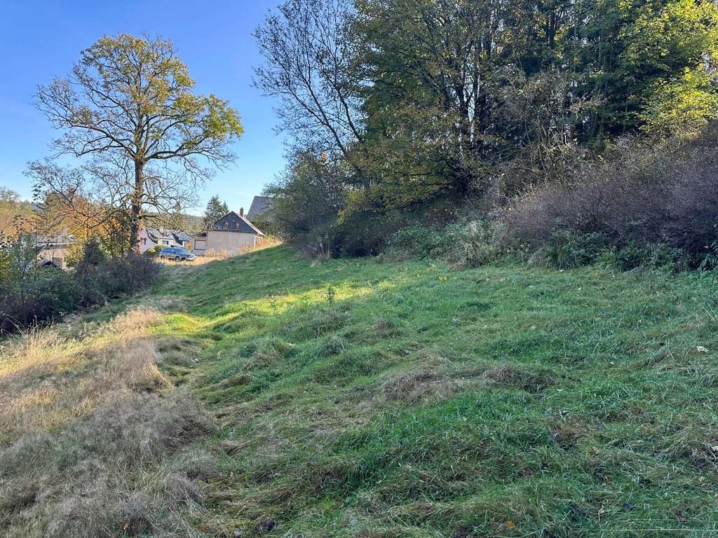 Immobilie in Bad Elster - Einfamilienhaus mit großzügigem Traumgrundstück im Grünen   – Ihr Platz für neue Wohnideen - Bild 4