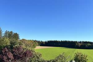 Großzügige, elegante  DHH mit EFH Charakter – 82349 Krailling – Vorschaubild 11