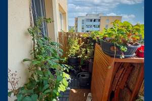 Panoramblick am Prinz-Eugen-Park: Helle 2-Zimmer-Wohnung  7. OG mit Top Rendite & Zukunftspotenzial – Die vollständige Adresse der Immobilie erhältst du vom Anbieter., 81927 Englschalking, München – Vorschaubild 11