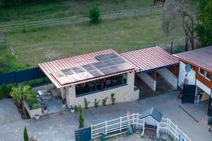 Moderne Reitanlage mit Wohnhaus – Toplage im Rhein-Main-Gebiet – Die vollständige Adresse der Immobilie erhältst du vom Anbieter., 55271 Stadecken-Elsheim – Vorschaubild 27