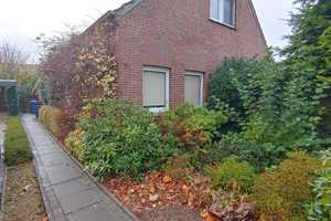 Ideals Zweifamilen Handwerkerhaus zentral in Heidmühle – Jeversche Straße 91, 26419 Friesland (Kreis) – Vorschaubild 2