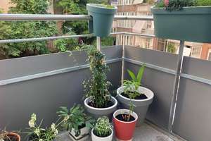 Property thumbnail 15