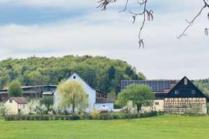 Modernisiertes Mehrfamilienhaus mit Nebengebäuden in idyllischer Lage mit 4,3 h großem Anwesen