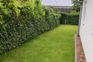 Freundliches Einfamilienhaus im Grünen mit Garten – Berlin – Vorschaubild 6