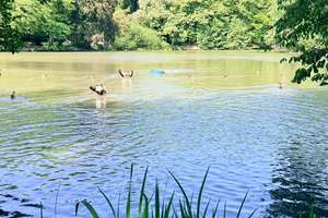 Wohnen, wo andere spazieren gehen! Frisch renoviertes Raumwunder mit Stadtwald-Blick & Gartenmitnutz – Dahlener Straße 613, 41239 Hockstein, Mönchengladbach – Vorschaubild 12