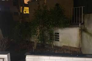Wohnen mit Charakter: 3,5-Zimmer-Erdgeschosswohnung in Essen – 45139 Südostviertel, Essen – Vorschaubild 14