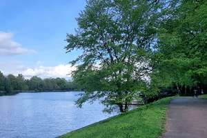 Property thumbnail 20