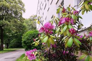 Möblierte, helle 1-Zimmer-Wohnung mit Südloggia in absolut ruhiger und dennoch zentraler Lage! – Regina-Ullmann-Str. -, 81927 Johanneskirchen, München – Vorschaubild 15