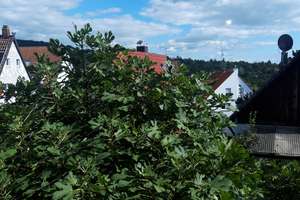 3,5-Zimmer-Wohnung mit Balkon und Einbauküche – Christian-Fink-Straße 11, 73732 Hegensberg, Esslingen am Neckar – Vorschaubild 28