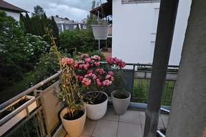 sonnendurchflutete zwei Zimmer-Whg. in Bad Münster-Ebernburg – 55583 Bad Münster am Stein-Ebernburg – Vorschaubild 10