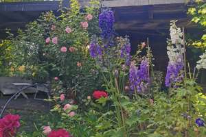 Property thumbnail 45