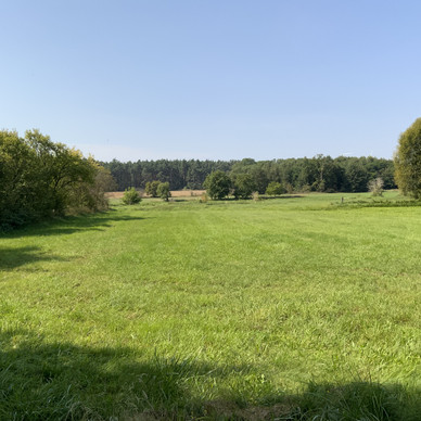 Haus kaufen in Beeskow ImmoScout24