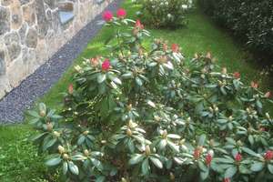 Property thumbnail 29