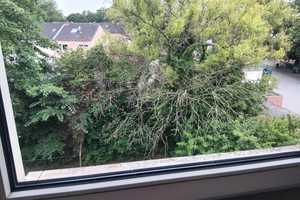 Sehr schöne renovierte 3 Zimmer Wohnung in Gelsenkirchen zu vermieten – Feldhauser Straße 113, 45896 Gelsenkirchen – Vorschaubild 5