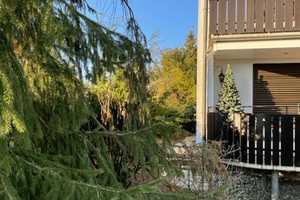Gepflegtes 2 Familienhaus mit sep. Gästeapartment in ÜB-Deisendorf ! – Bodenseekreis – Vorschaubild 7
