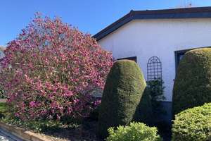 Lichtdurchflutetes Einfamilienhaus mit traumhaften Garten – Die vollständige Adresse der Immobilie erhältst du vom Anbieter., 63674 Altenstadt – Vorschaubild 2