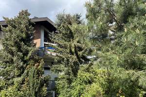*Architektenhaus in Top Lage * ,,was ganz Besonderes" , in Niedernhausen! – Die vollständige Adresse der Immobilie erhältst du vom Anbieter., 65527 Niedernhausen – Vorschaubild 43