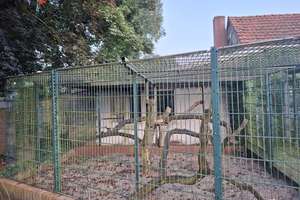 Tiere Willkommen! Der" Martinshof" 2.0 - Ein Anwesen im Landhausstil am Heiligen Meer in Hopsten ! – Die vollständige Adresse der Immobilie erhältst du vom Anbieter., 48496 Hopsten – Vorschaubild 10