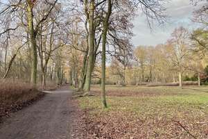 Property thumbnail 14