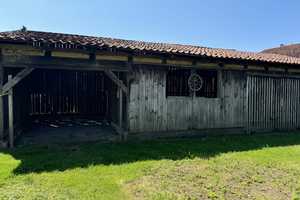 Liebhaberobjekt - Resthof mit Nebengebäuden und großem Grundstück – Osterode am Harz (Kreis) – Vorschaubild 8