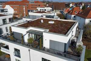 Penthouse "Wohnjuwel" in ruhiger Top Lage + ca. 87 m² Dachterrasse – Braunschweig – Vorschaubild 1