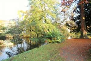 OF-Westend: Wohnen am Dreielch-Park! Renovierte ETW, 3ZBK, rd.75m2 & Tageslichtbadezimmer – Dreieichring 4, 63067 Ledermuseum, Offenbach am Main – Vorschaubild 11